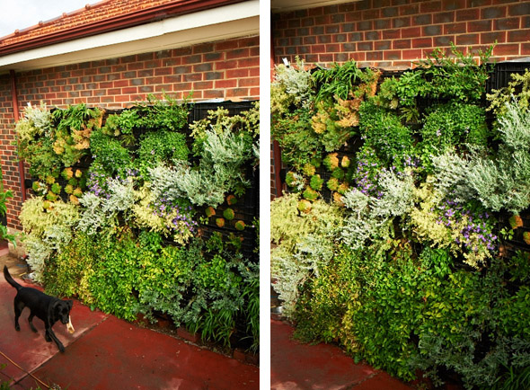 Vertical Gardens – Sustainable Outdoors