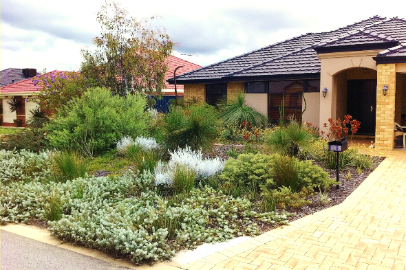 Verge Gardens Perth 12 Sustainable Outdoors Verge Gardens Perth 12 Sustainable Outdoors