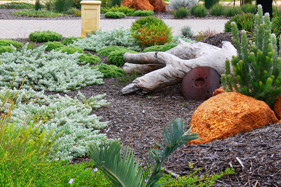 Waterwise verge garden in Perth with feature log