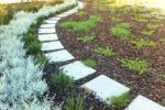 Native garden with stepping stone path