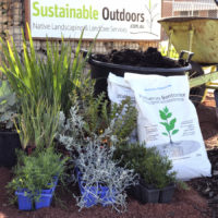Verge Garden Enthusiast Pack Sustainable Outdoors Verge Garden Enthusiast Pack Sustainable Outdoors