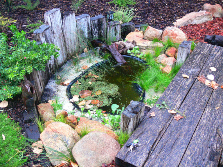 Frog Ponds – Sustainable Outdoors