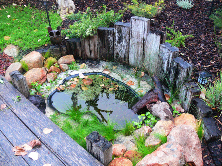 Frog Ponds - Sustainable Outdoors